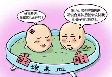 养囊成功的都是优质胚胎吗？