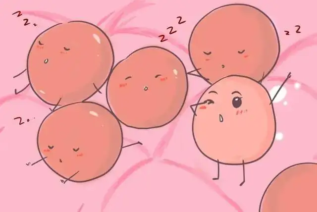 爱之晶：做试管婴儿促排卵会导致卵巢早衰吗？