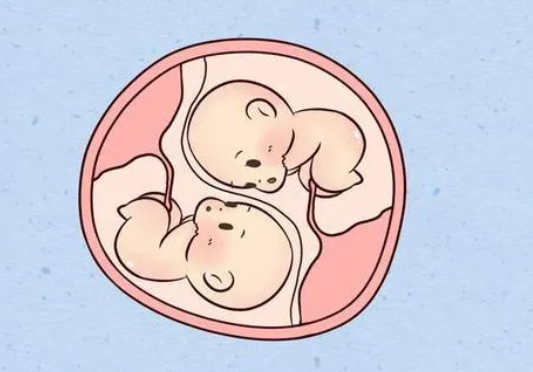 爱之晶：双胞胎并不是那么容易怀上的，普通人怎么怀上双胞胎呢?