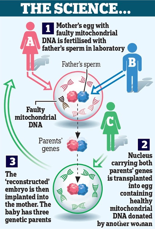 爱之晶：英国诞生第一批三亲婴儿，试管婴儿技术再度突破
